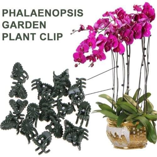 50 Pcs 20mm Plastic Plant Support Clips Plant Fix Clips Orchid Stem Vine Support Flowers Farm Tied Bundle Garden Supplies