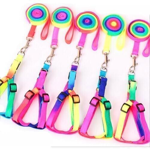 Adjustable Small Pet Dog Leash Pet Product Nylon Dogs Collar Lead Leash Puppy Walk Out Hand Strap Lead For Dog Cat Rabbit