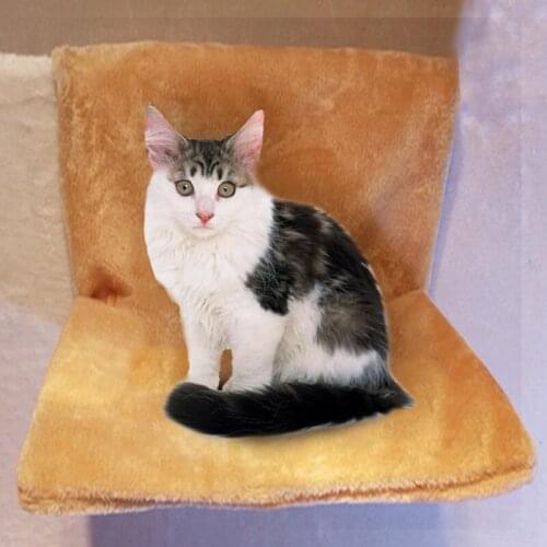 Cat Hammock Solid Frame Cat Bed Room Comfortable Cute Warm Portable Comfortable Cat Pet Bed Shelf Mattress