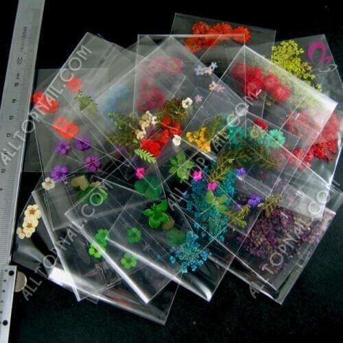 New Assorted Styles Press Dry Real Flower 300Packs Nail Art Natural Dry Flower
