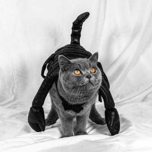 Funny Pet Cloth Creative Scorpion Shape Cat Costumes Cosplay Cat Garment Vivid Pet Supply
