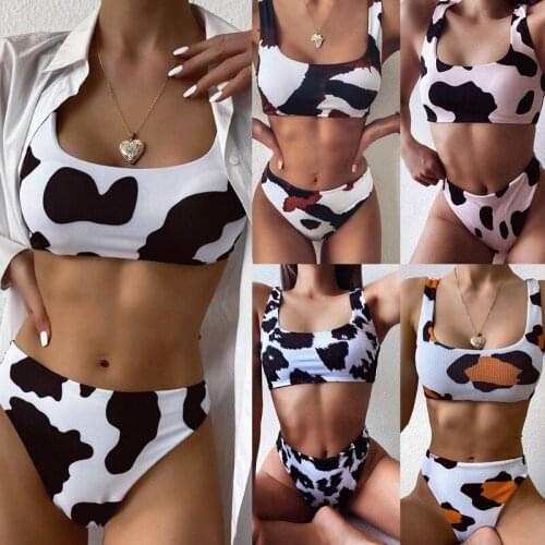 Print Swimming Suit for Women 2 Piece Set Women Bikini 2021 Sexy Bathing Suit Women