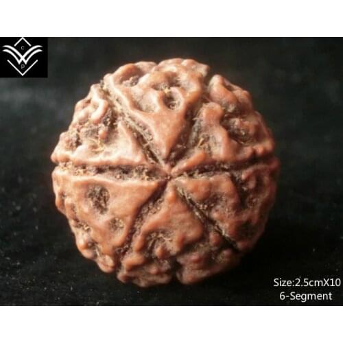 Rudraksha 6 Segments 25mmX10 Fleshy Buddha Bead Bracelet