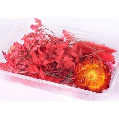 1 Box Real Dried Flower Dry Plants for Aromatherapy Candle Epoxy Resin Pendant Necklace Jewelry Making Craft DIY Accessories