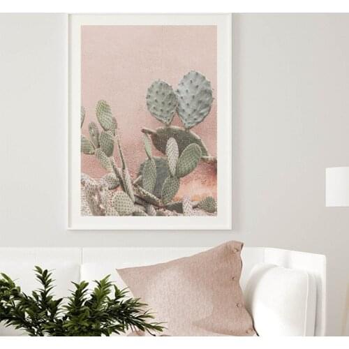 Pink Cactus Photography Poster Canvas Painting Southwestern Succulent Plants Wall Art Print Botanical Picture Living Room Decor