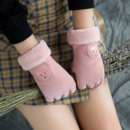 Ladies Winter Warm Gloves Thickened Double Layer Plus Velvet Wind and Cold Gloves Outdoor Driving Gloves