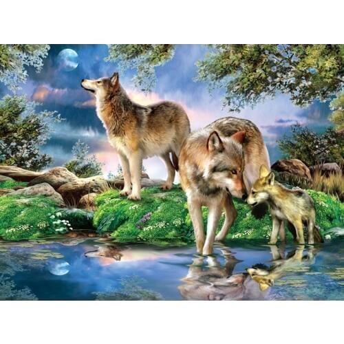 Full Square Diamond 5D DIY Diamond Painting Photo Custom "Night wolf" 3D Round Full Embroidery Cross Stitch Mosaic Decor