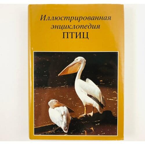 Артия Stationery