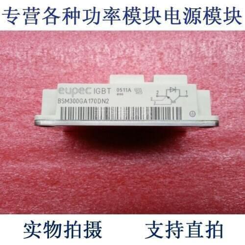 BSM300GA170DN2