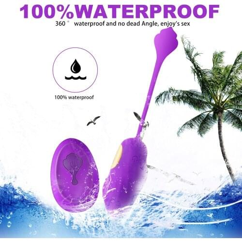 Love Egg Vibrator Wireless Remote Powerful 12-mode Vibrations Remote Control Vibrating Egg G- Spot Vibrator Sex Toy for Women