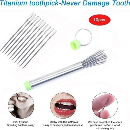 10 Pcs Outdoor Stainless Steel Metal Titanium Toothpick Reusable Food Fruit Fork with Case for Travel Camping