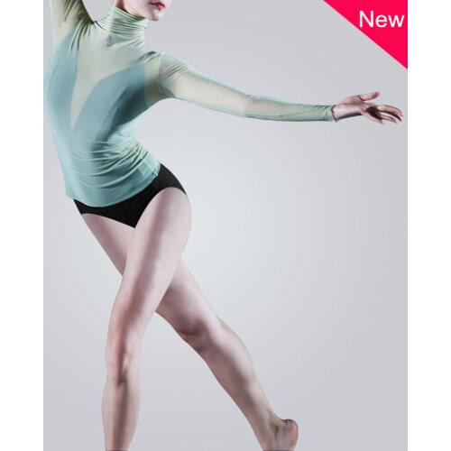 High-necked Long-sleeved Mesh Yarn Dance Practice Dress Classical Dance Ballet Tops Chinese Folk Dance Clothes Stage Clothing