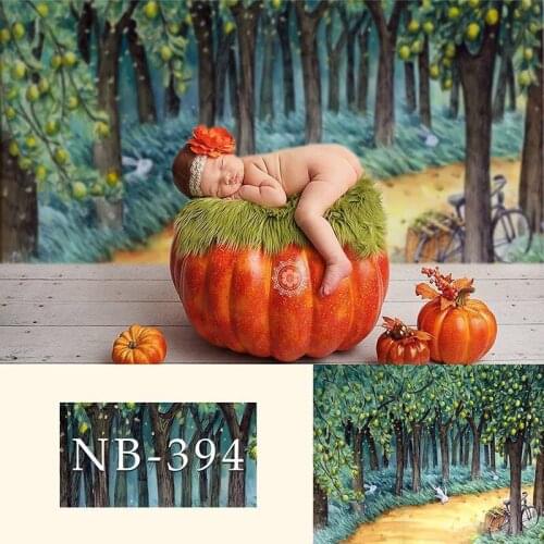 Photography Backdrops Baby Shower Birthday Party Photo Background Customized Photographic Backdrops For Photo Studio