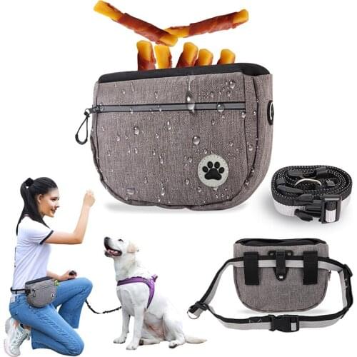 MLGB Dog Treat Pouch Training-Bag Dispenser Waist Shoulder Strap Ways Walking We Are Easily Carries Pet Toys Poop Gray