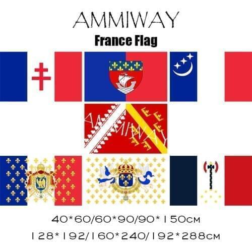 AMMIWAY Fanion Degaulle 1959 Paris with Shield Alsace Royal Standard of the King Napoleon Chief State Vichy France Flags Banners