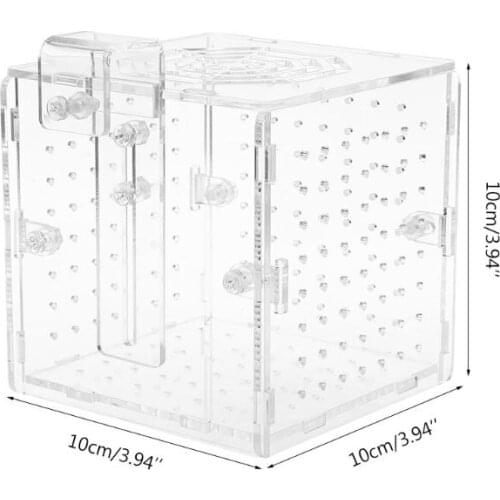 Acrylic Aquarium Fish Breeding Isolation Box With Sucker for Baby Fish Hatchery Incubator Cage