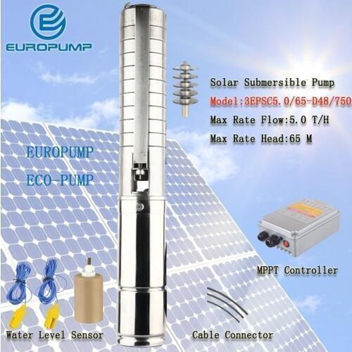 EUROPUMP MODEL(3EPSC5.0/65-D48/750) 1HP Solar submersible water pump/solar powered water pump/solar water pump system