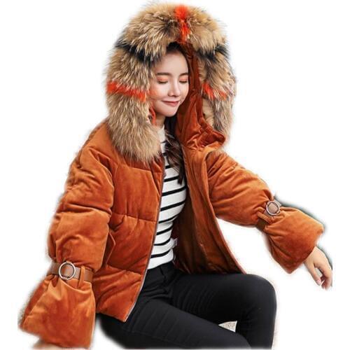 2018 New Sweet Winter Women Short Pleuche Parkas Female Hooded Large Colorful Fur Collar Down Cotton Jacket Zippers Padded Q458