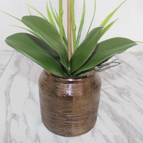 Simulation Plants Phalaenopsis Leaf Decorative Flowers Auxiliary Material Flower Decoration Orchid Leaves Micro Landscape Decor