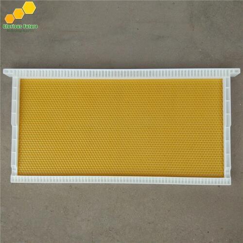 2Pcs Beekeeping plastic hive frame plastic bee frames langstroth beehive frames FR-3B