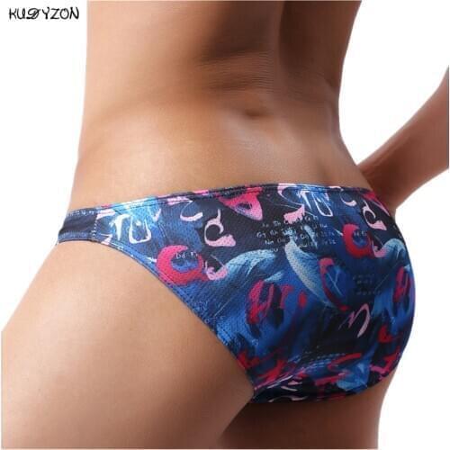 New Sexy Men Underwear Breathable Printed Briefs Low Waist Male Underpants Cuecas Calzoncillos Bulge Pouch Mesh Bikini Briefs