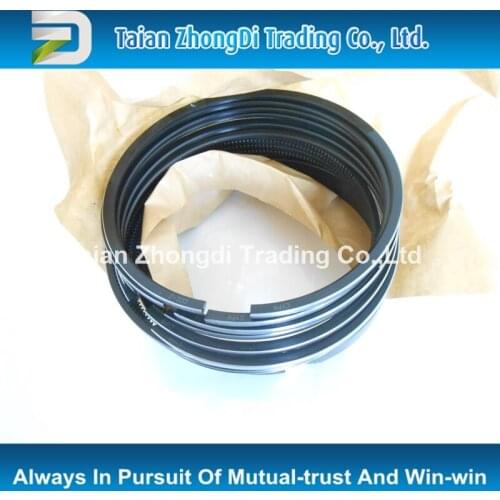 TAZONDLI original piston ring group VG1540030005 E008