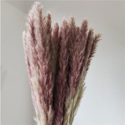 Wedding home decoration Nordic style reed dried flowers bouquets naturally dried real flowers reed dried flowers shoot props