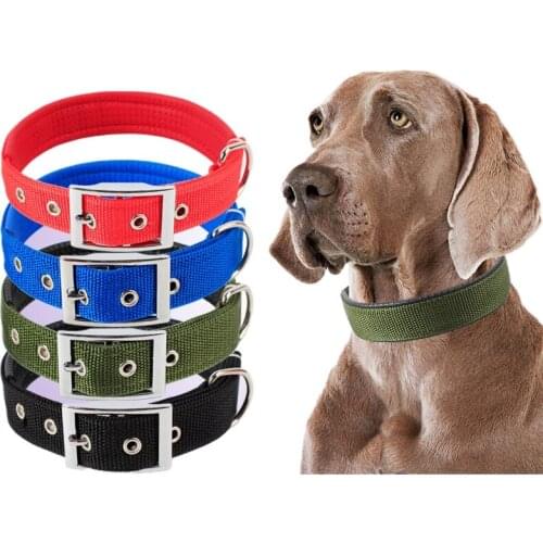 Solid Dog Collars Nylon Dog Collar For Small Medium Large Dogs Teddy Keji Pitbull Bulldog Beagle