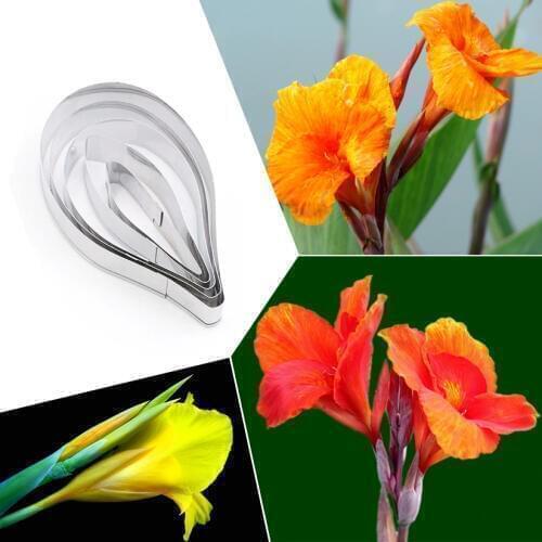 Формы для бисквитов HANDLİFE China At AliExpress