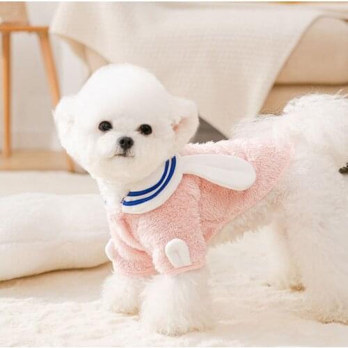 Dog clothes New autumn and winter two-legged fleece puppies two-legged clothes for cats cartoon pet cat clothes dog costume