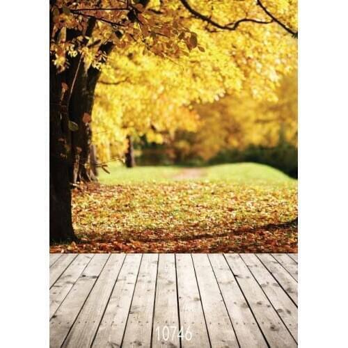 SHENGYONGBAO Vinyl Custom Photography Backdrops Props Wood Planks floor theme Photo Studio Background SJY-14255