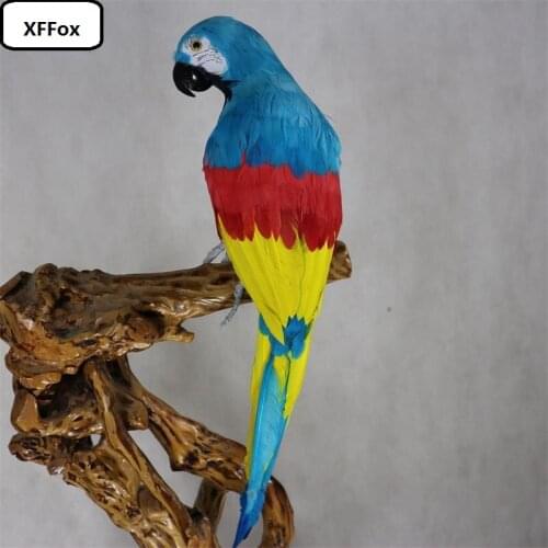 Big simulation parrot model foam&furs real life blue-red-yellow parrot bird doll gift about 60cm xf1149