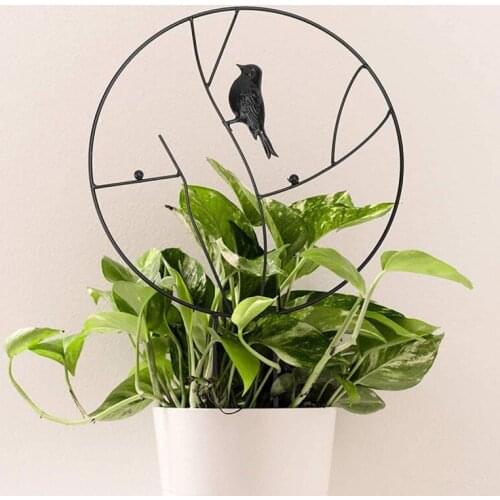 Climbing Plant Garden Taid Retro Potted Plant With Round Rustproof Metal Bird Durable Climbing Plant Support Garden Tool 30/35cm
