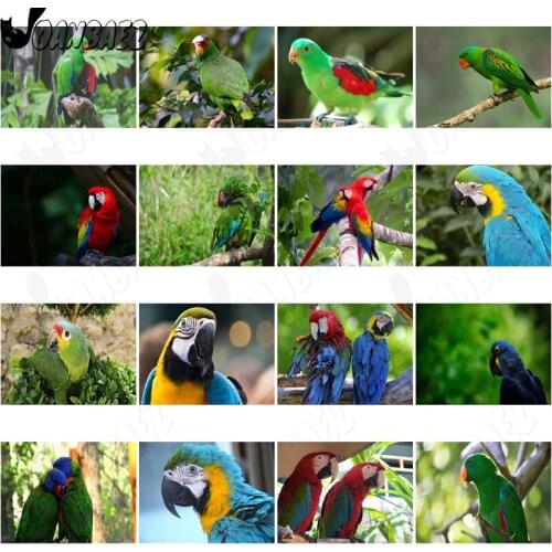 Animal Diamond Painting Parrot 5D Diy Mosaic Kit Color Feather Cross Stitch Embroidery Hand Inlaid Home Decoration Gift Design