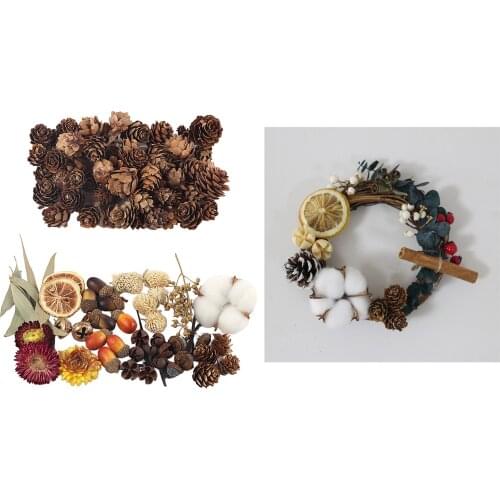 1 Box Real Dried Flower Floral for DIY Bookmark Crafts Jewelry Making Nail Arts Photo Frame Table Decor