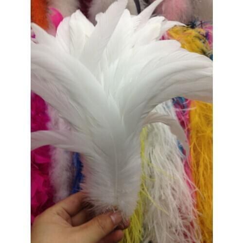 High quality wholesale 10pcs Rare natural white rooster tail 25-30cm/10-12inch Decorative diy pure white Wedding Accessories
