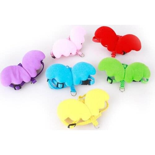 Cute Angel Wing Adjustable Dog Leash Traction Training Lead and Collars Set Polyester Alloy Anti-lost Pomeranian Traction Belt