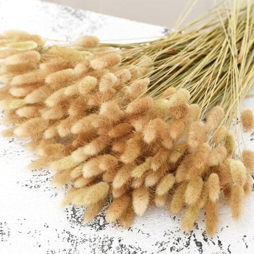 100 stems Denisfen Wedding Decoration Flowers Rabbit Tail Bouquet Natural Dried Flower for Home Decor Retro Filming Props