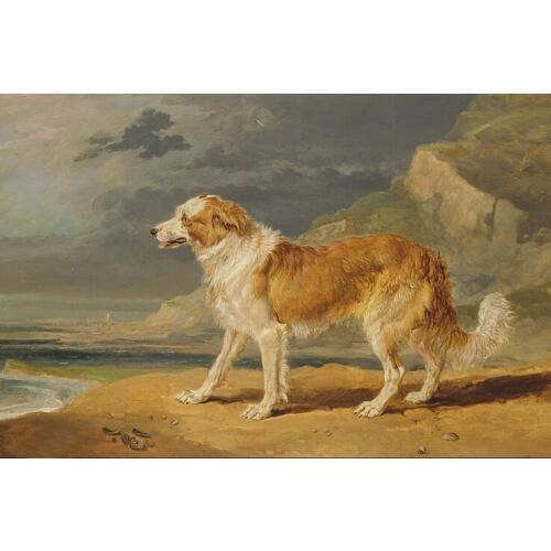 100% hand painted oil painting # HOME living room Decorative art # Animal dog Rough-Coated Collie oil painting on canvas