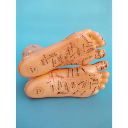 19cm Foot reflex zone massage model, not acupuncture model, Chinese and English code TCM Feet Reflexology, 2pcs=1 pair