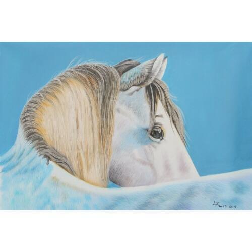 New Arrival Morden Animal Oil Paintings On Canvas Horse Handmade Painting For Home Decoration No Frame