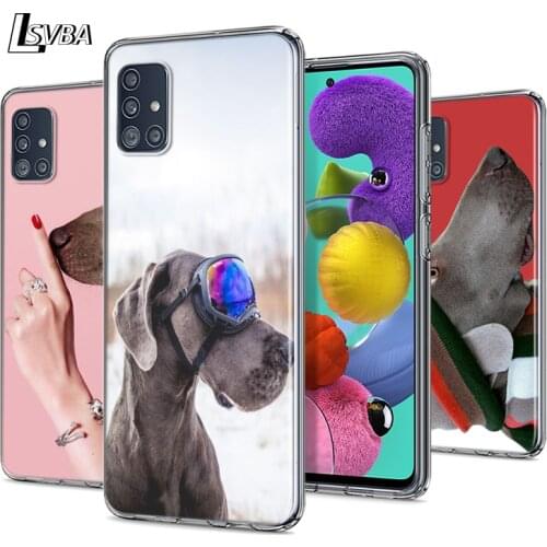 Weimaraner Dog Fashion For Samsung Galaxy S20Ultra S20 Plus S10 Lite A01 A11 A21 A21S A31 A41 A42 A51 A71 A81 Phone Case