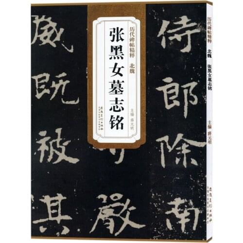 Regular Script Brush Calligraphy Copybook Chinese Epitaph Practice Book Essence of Rubbings of Past Dynasties Caligrafia China