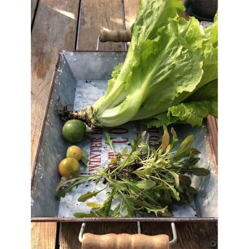 Metal Storage Basket Iron Vintage American Storage Box Flower Pot Flower Baking Basket Storage Decor Fruit Basket For Home