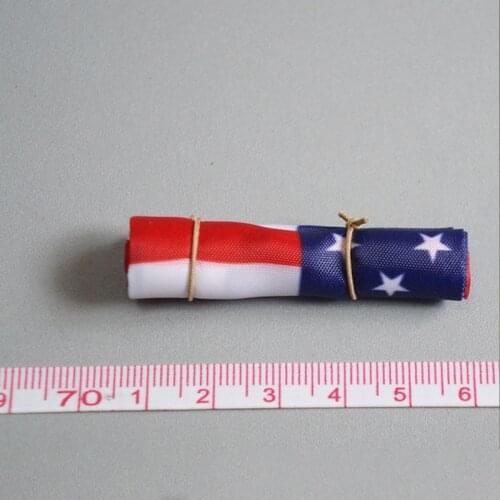 DAMTOYS DAM 1:6 Scale 78065 American seal NSWDG AOR1 Version Flag Model For Action Figure DIY Accessories