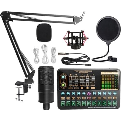 Personal Entertainment Microphone Webcast Streamer Live Broadcast External Audio USB Sound Card for PC Phone Computer