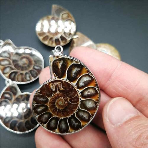 New Fashion 1Pc Natural Ammonite Seashell Fossils Snail Pendants Ocean Conch Reliquiae Pendant for Women Men Necklace Gift