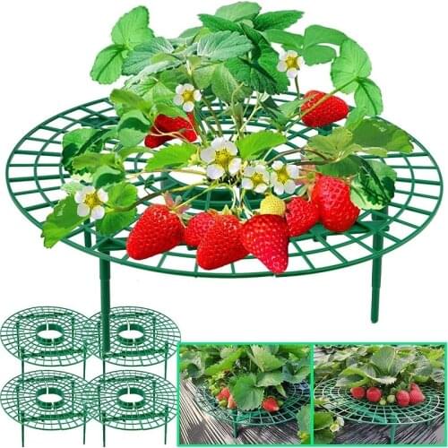 5/10/20 PCS Strawberry Stand Frame Holder Fruit Support Plant Balcony Planting ​Rack Flower Climbing Vine Pillar Gardening Stand