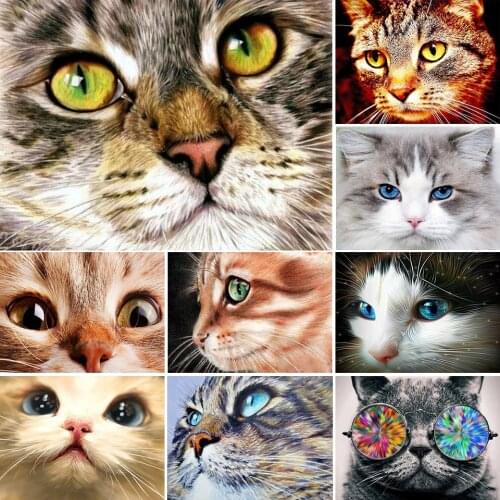 5D DIY Diamond Painting Cat Face Cross Stitch Kit Full Drill Square Embroidery Mosaic Art Picture of Rhinestones Home Decor Gift