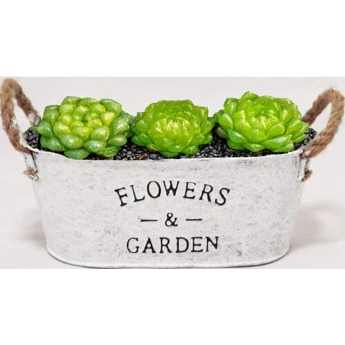 Set of 2 Rustic Metal Planters with Handles,Farmhouse Succulents Herbs Pots,Vintage Plants Container for Indoor